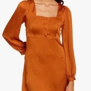 Chic Long Sleeve Rust Dress